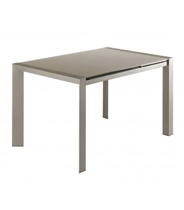 Tavolo Rettangolare con Piano in Vetro Allungabile Grigio