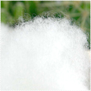 Dettaglio cuscino fibra poliestere