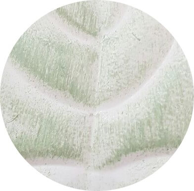 Verde - Shabby Chic