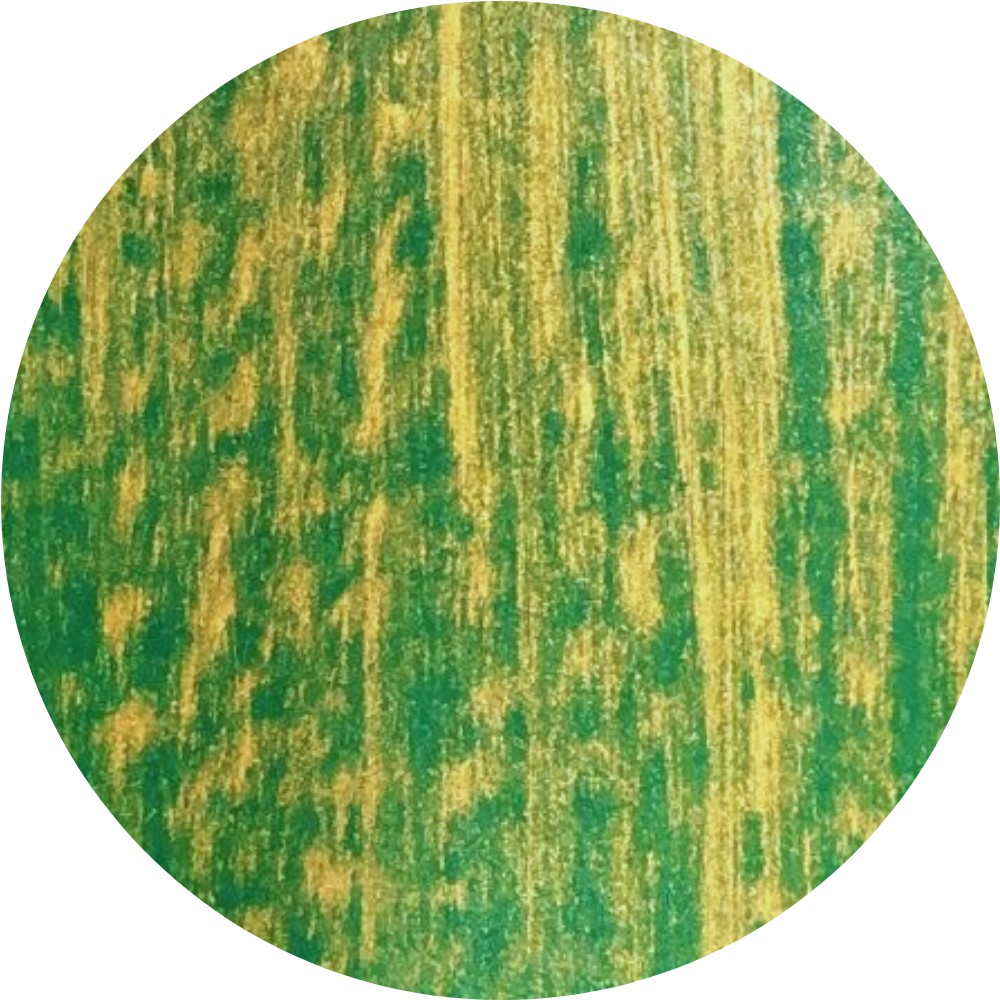 Verde Bottiglia